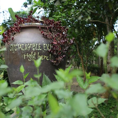 Thuy Bieu Homestay Hué Eksteriør billede