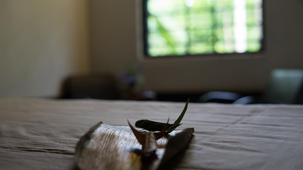 Thuy Bieu Homestay Hué Eksteriør billede