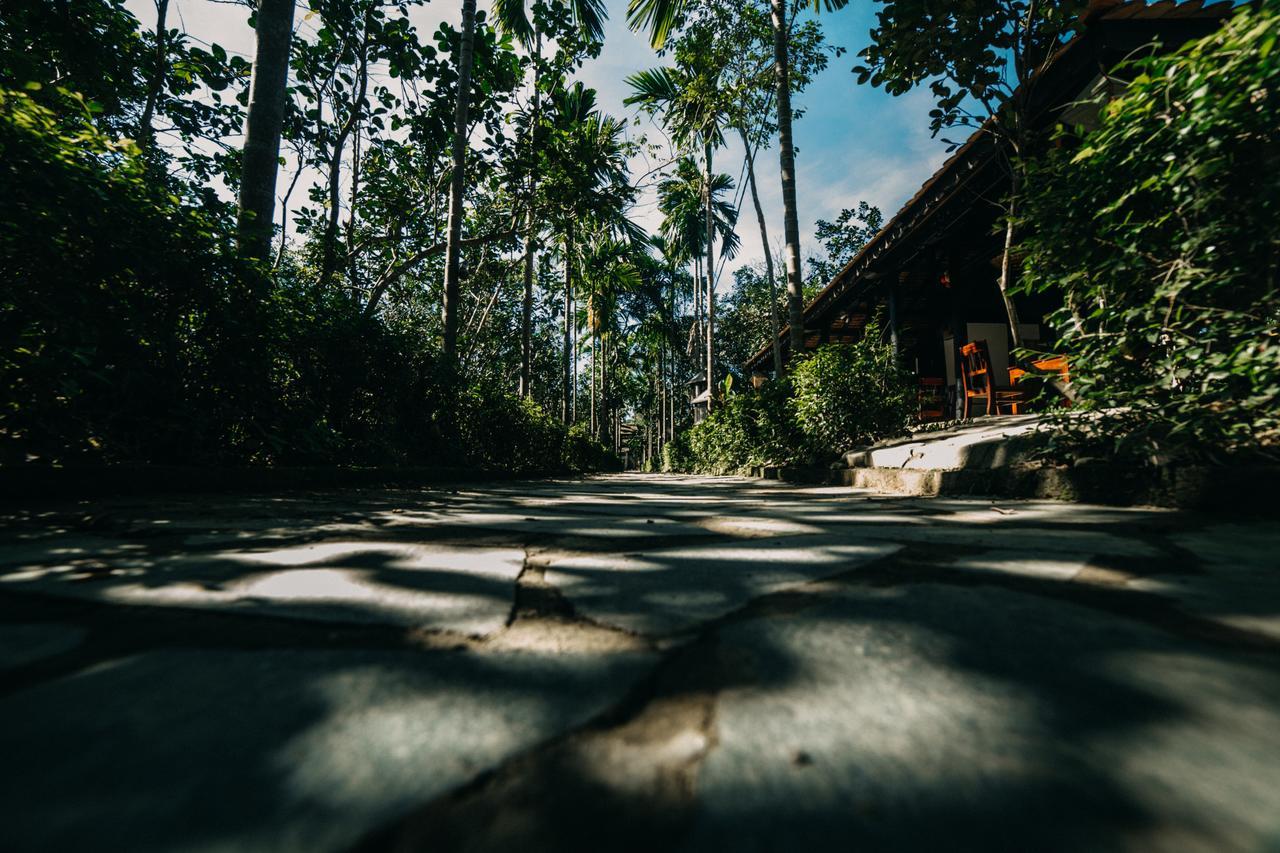 Thuy Bieu Homestay Hué Værelse billede