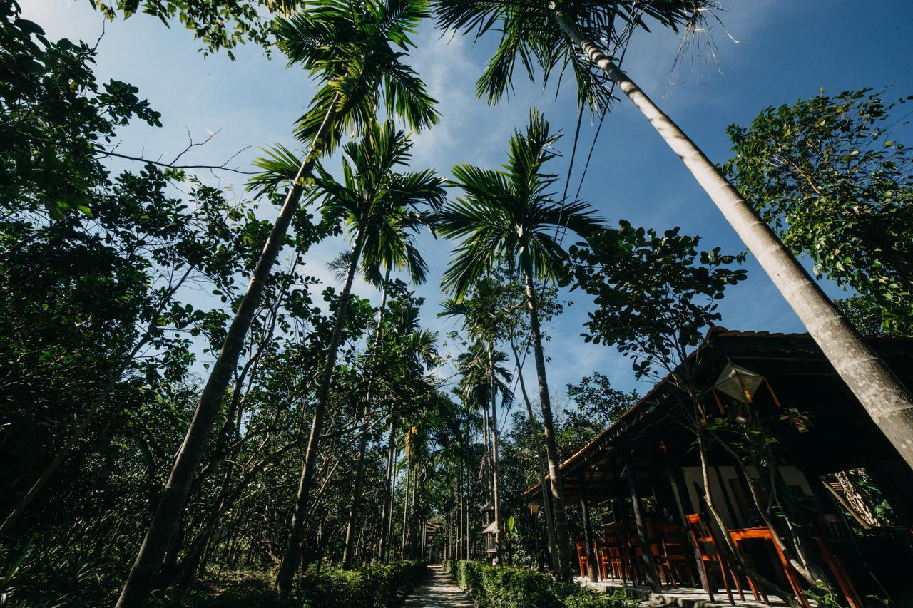 Thuy Bieu Homestay Hué Værelse billede