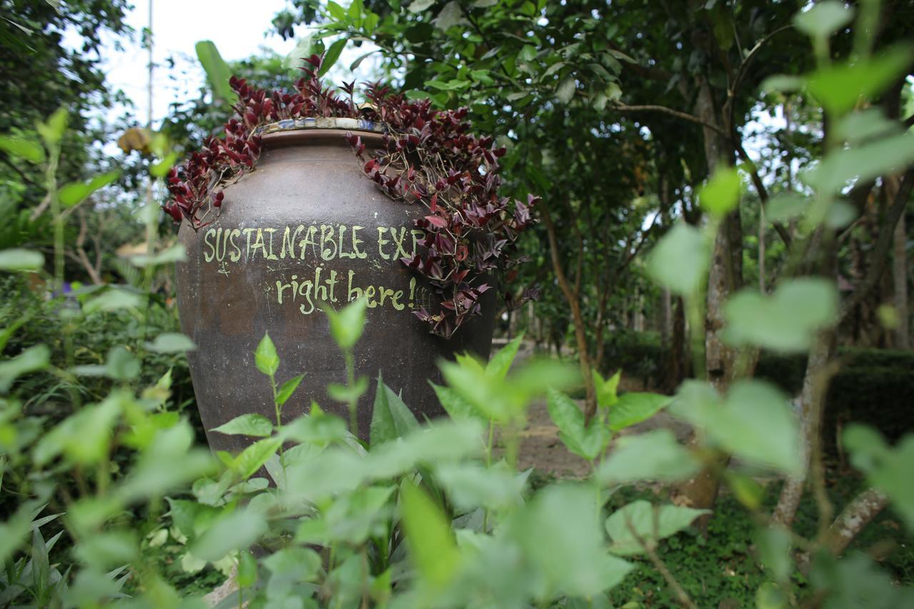 Thuy Bieu Homestay Hué Eksteriør billede