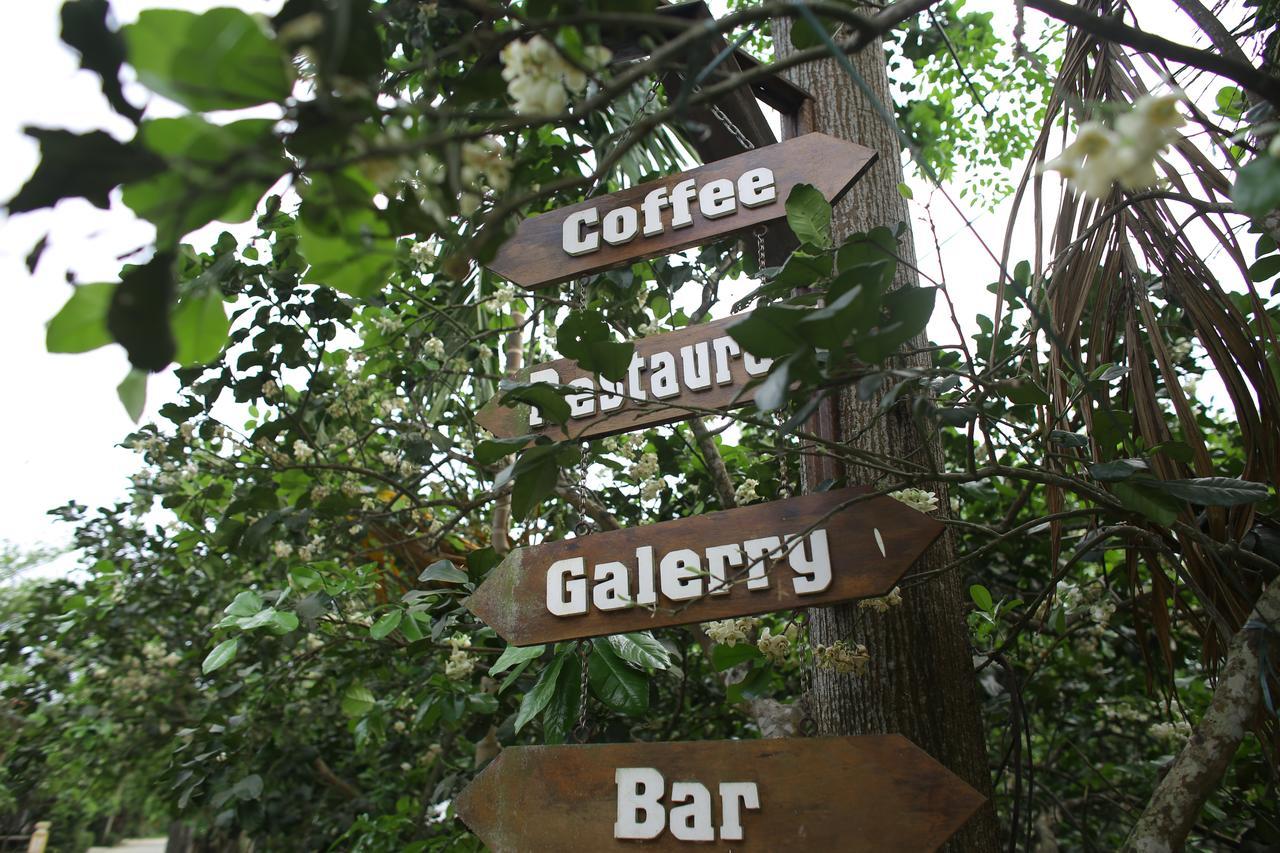 Thuy Bieu Homestay Hué Eksteriør billede
