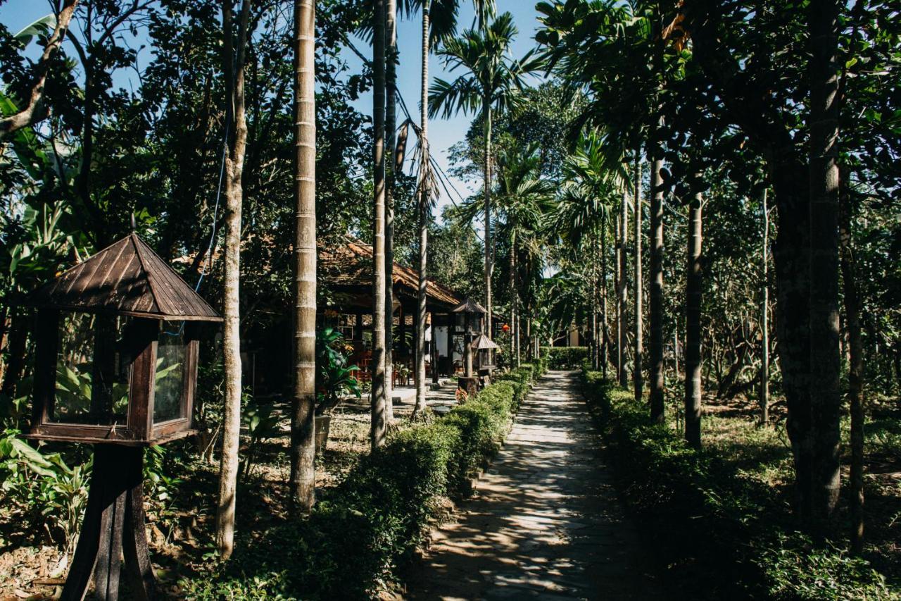 Thuy Bieu Homestay Hué Eksteriør billede