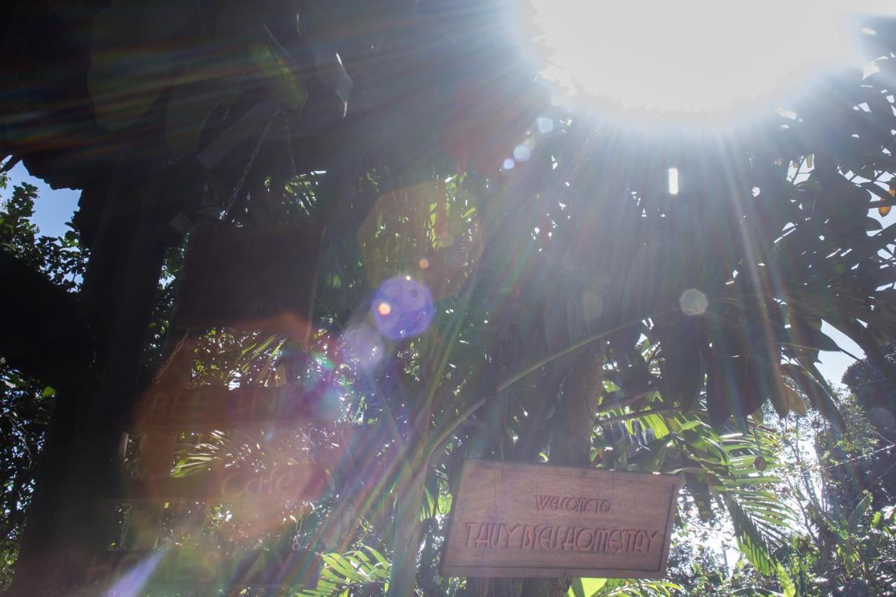 Thuy Bieu Homestay Hué Værelse billede